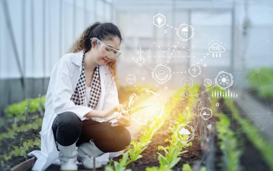 AI dự báo mùa vụ, AI tối ưu chi phí nông nghiệp, AI trong nông nghiệp Việt Nam, dự báo mùa vụ bằng AI, tối ưu chi phí trồng trọt AI